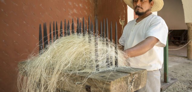 Sisal,Fiber,Being,Processed,In,Mexico.,Fiber,Woven,Obtained,From