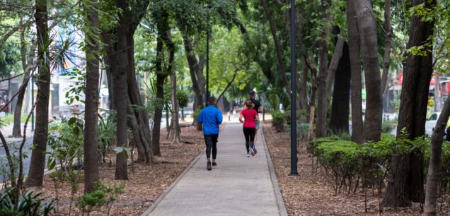 Runners,In,The,Lush,Green,Park,Island,Medians,Of,Avenida